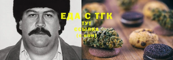 ECSTASY Бородино