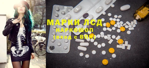 ECSTASY Бородино