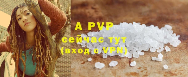 ECSTASY Бородино
