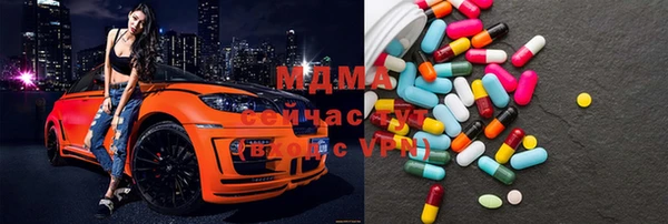 ECSTASY Бородино