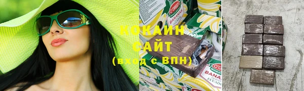 ECSTASY Бородино
