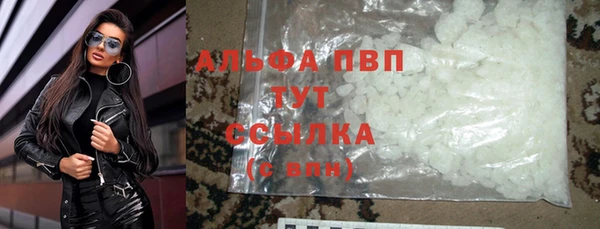 ECSTASY Бородино