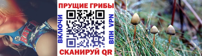 Галлюциногенные грибы мухоморы  Гудермес 